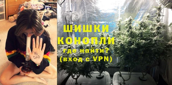 ECSTASY Дмитров